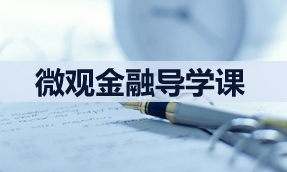 微觀金融導(dǎo)學(xué)課