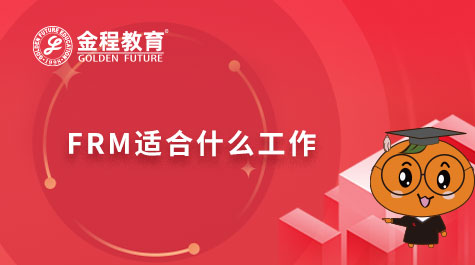 FRM適合什么工作