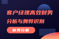 客户经理高效财务分析与舞弊识别