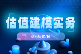 估值建模实务