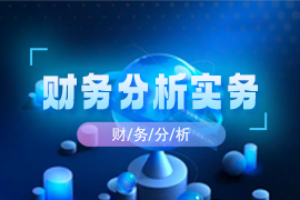 财务分析实务