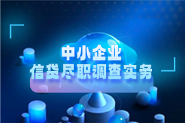 中小企业信贷尽职调查实务