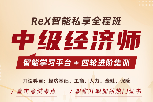 2025年REX智能私享全程班—中级经济师