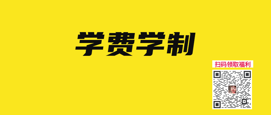 管综