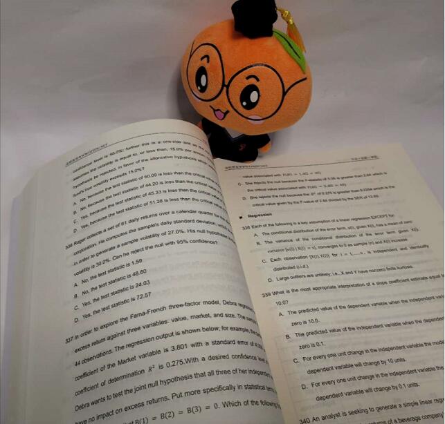 FRM一二級(jí)資料