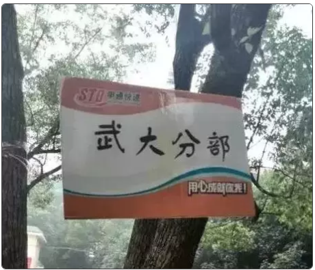 申通招聘