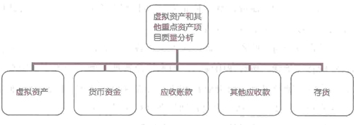擬資產(chǎn)和其他重點(diǎn)資產(chǎn)項(xiàng)目質(zhì)量分析主要內(nèi)容