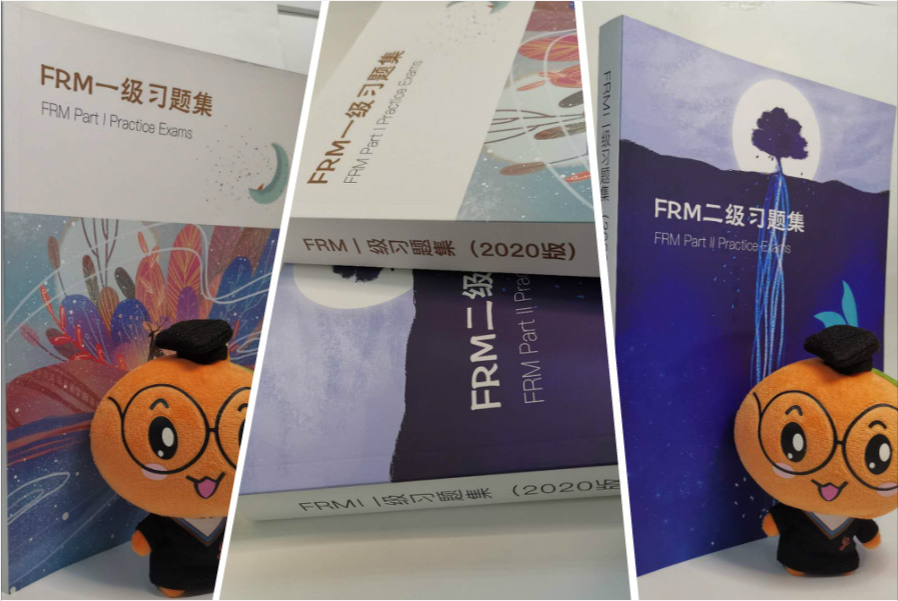 FRM中文精度資料