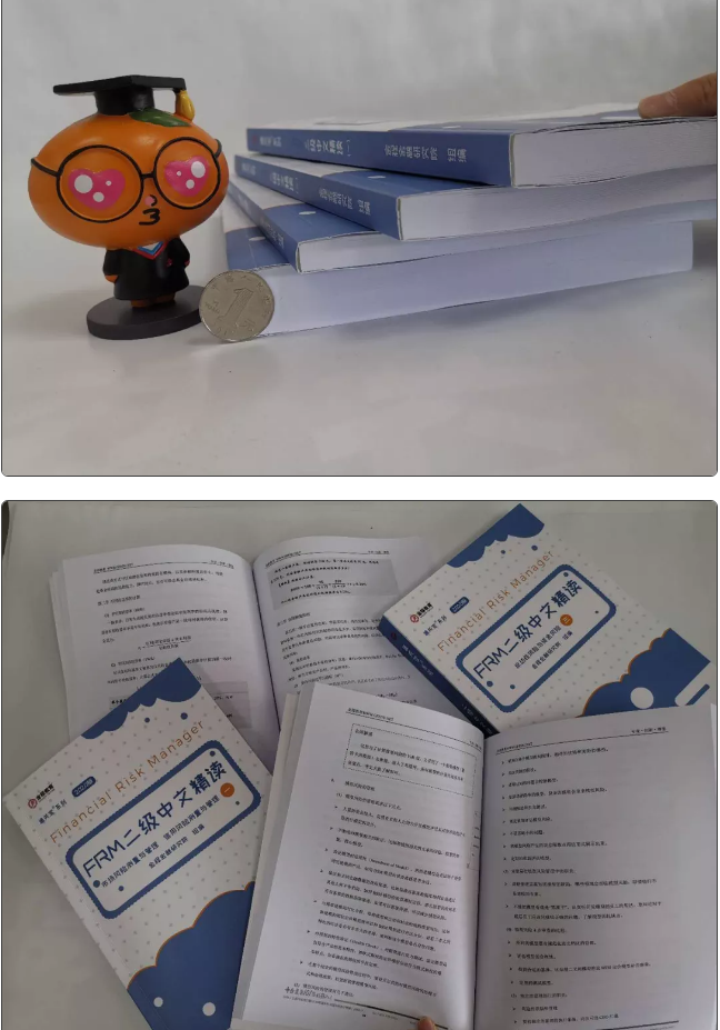 FRM中文精讀資料