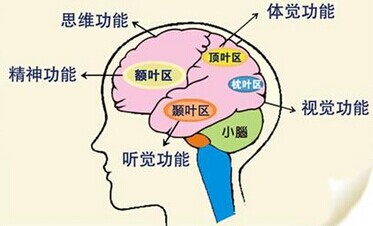 中文CMA考試不是死記硬背