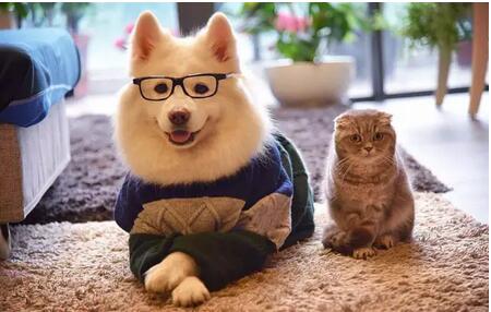 CPA考試學(xué)習(xí)