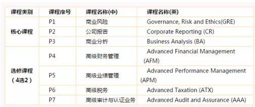 專業(yè)階段具體課程