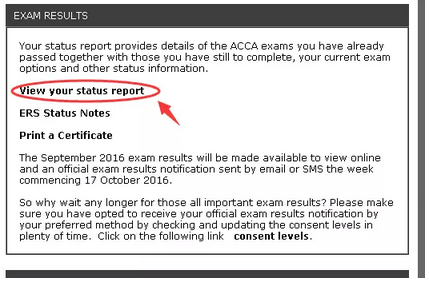 跳轉(zhuǎn)頁面后選擇View your status report