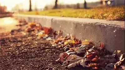 量化投資的特點有哪些