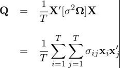  Newey-West調(diào)整