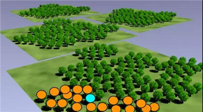 什么是統(tǒng)計學(xué)