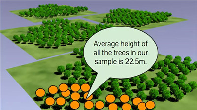 什么是統(tǒng)計學(xué)