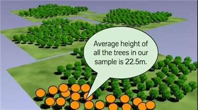 什么是統(tǒng)計學(xué)