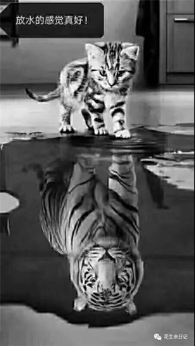 2019中國經(jīng)濟增長前景