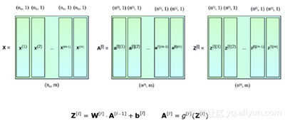 多樣化本向量化