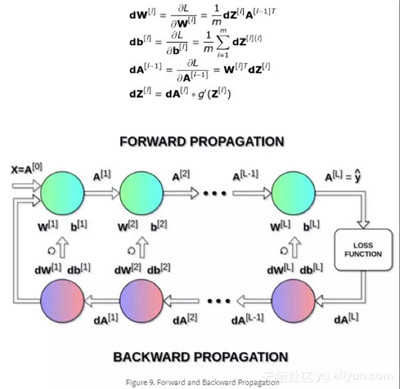 前向傳播和反向傳播如何協(xié)同工作優(yōu)化損失函數(shù)