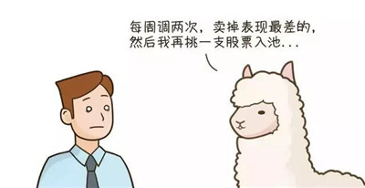 羊駝策略是什么