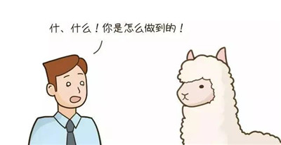 羊駝策略是什么