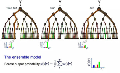 AQF數(shù)據(jù)分析師常用的機(jī)器學(xué)習(xí)算法