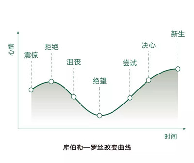 韭菜的自我修養(yǎng)