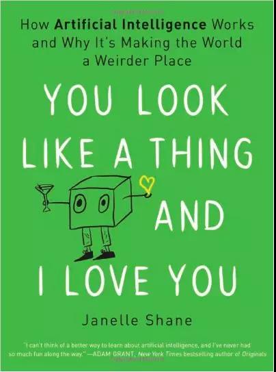 You Look Like a Thing and I Love You: How Artificial Intelligence Works and Why It's Making the World a Weirder Place