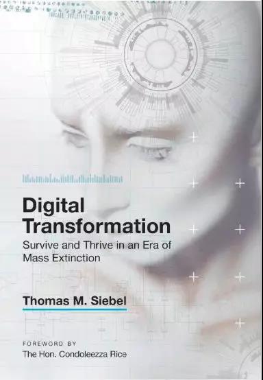 數(shù)字化轉(zhuǎn)型：大規(guī)模滅絕時(shí)代的生存與繁榮指南