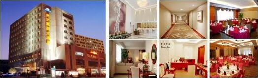 活動地點及路線