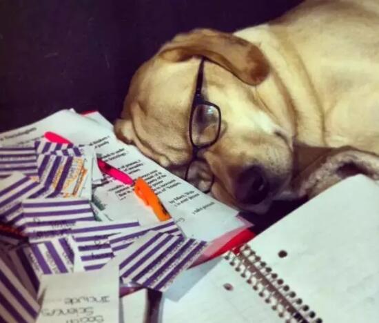 當六個小時考試結(jié)束的時候，感覺自己像參加了一場高考，一身輕松。