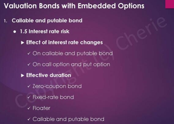 cfa二級固定收益重點(diǎn)2