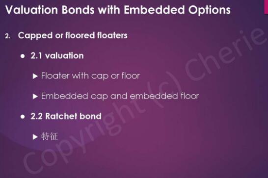 cfa二級固定收益重點(diǎn)6