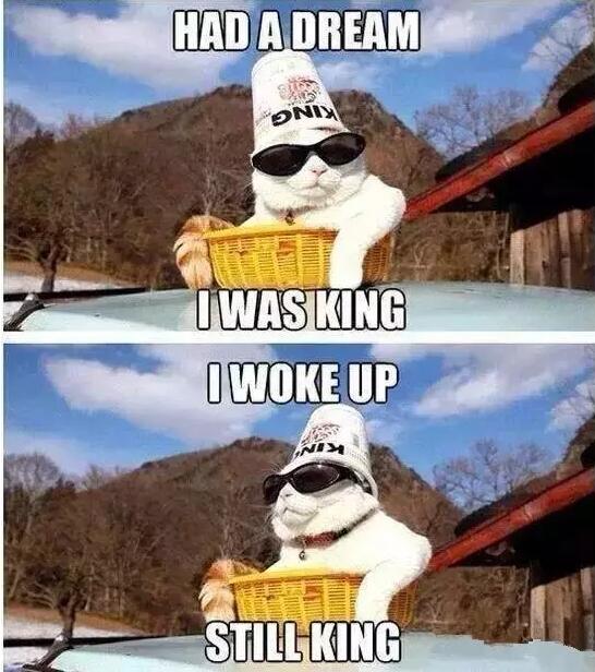 問了問自己會不會數學、物理、土木工程、電子工程、編程，都不會，只能來干這個了。