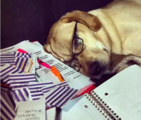  CFA可以幫助你的是：