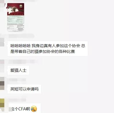還有自稱每天帶自己的貓——參加CFA協(xié)會的各種比賽