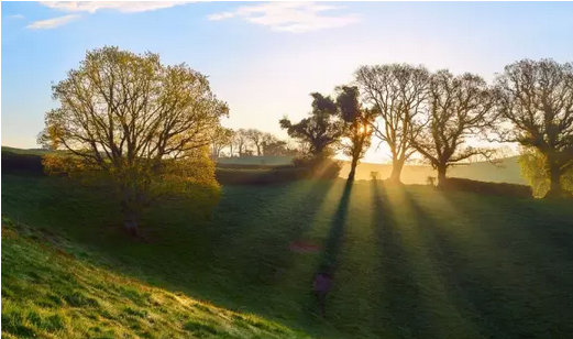 CPA職業(yè)發(fā)展圖片7