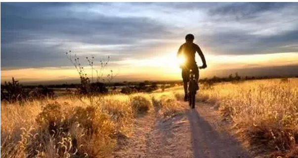 cpa職業(yè)發(fā)展圖片