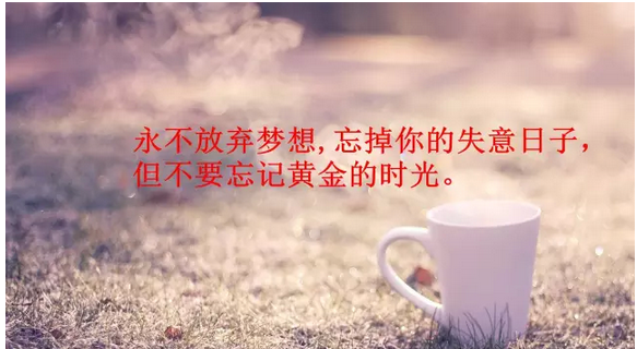 CPA職業(yè)發(fā)展圖片3