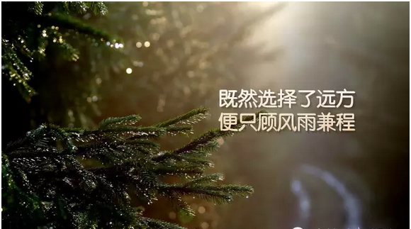 CPA職業(yè)發(fā)展圖片4