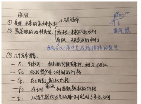 對(duì)期權(quán)的總結(jié)