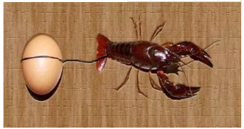 每天應(yīng)保證多長(zhǎng)時(shí)間的睡眠？