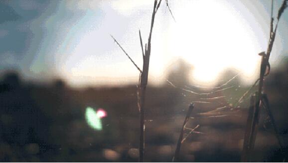 你看，早起的人生真的賺翻了