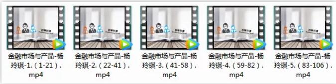 FRM一級預(yù)覽