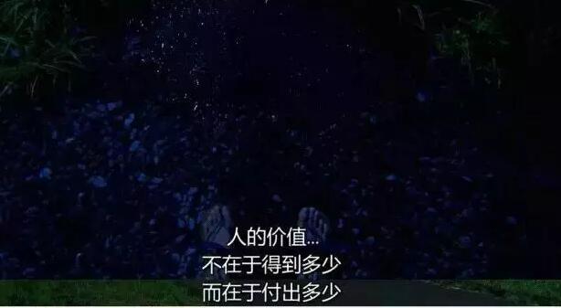 平臺上扁擔(dān)都可以種出花：你靠什么生存，誰靠你生存