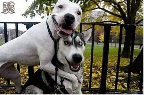 果然，沒事還是多學(xué)點金融知識好呀