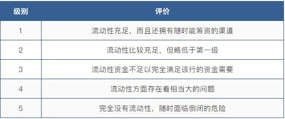 駱駝信用評(píng)級(jí)指標(biāo)體系CAMELS