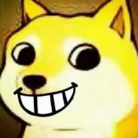 考CPA的女生特點